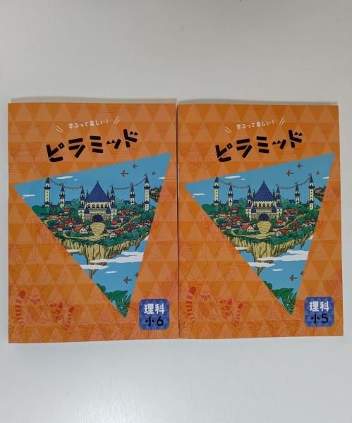 ピラミッド 理科
